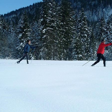 Appartements Ferienwohnungen Alpenblick Faistenau Kültér fotó