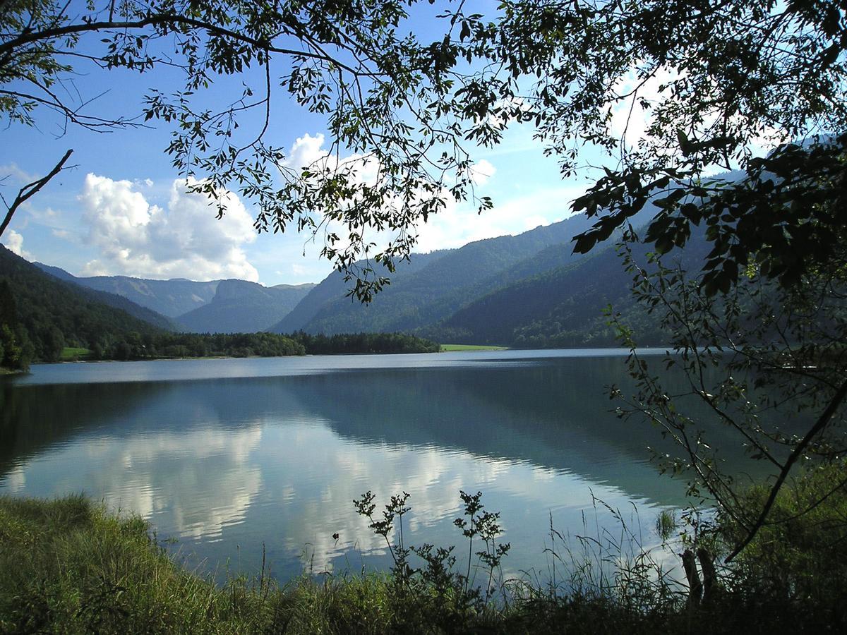 Appartements Ferienwohnungen Alpenblick Faistenau Kültér fotó